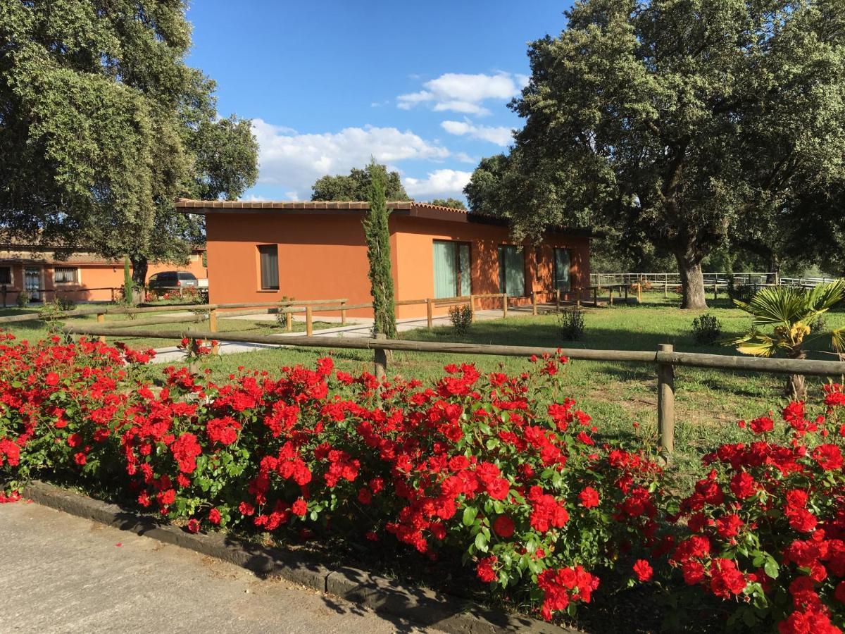 Finca Casaes Apartamentos Torralba de Oropesa Luaran gambar